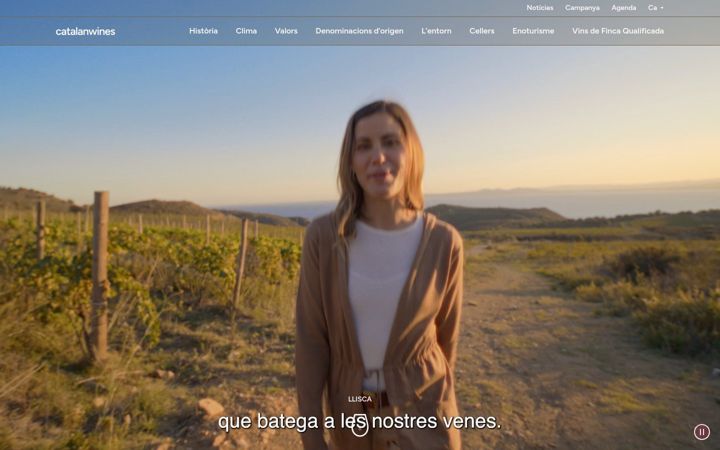 Screenshot of catalanwines.com