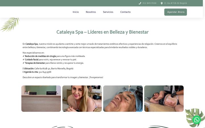 Screenshot of cataleyaspa.com.co