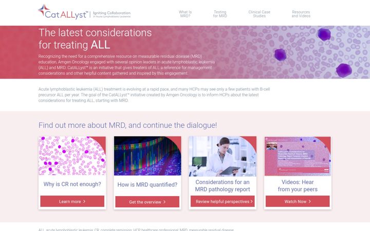 Screenshot of catallyst.com