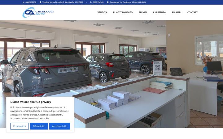 Zrzut ekranu catalucciauto.it
