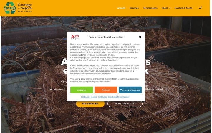 Screenshot of catalys46.fr