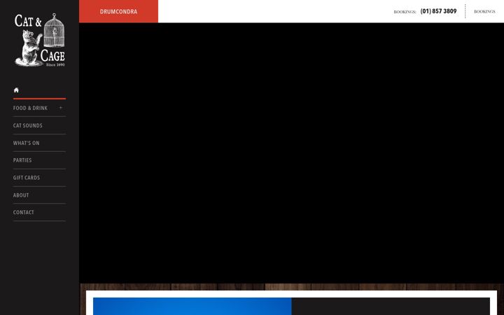 Screenshot of catandcage.ie