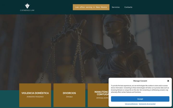 Screenshot of catarineulaw.com