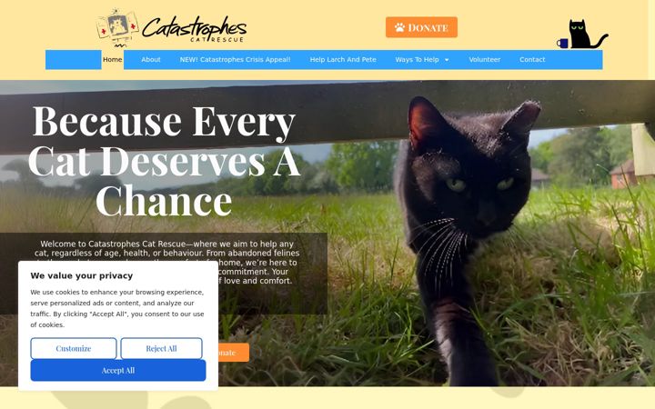 Screenshot of catastrophescats.org