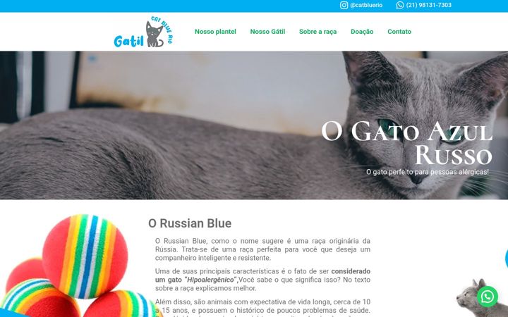 Screenshot of catbluerio.com.br