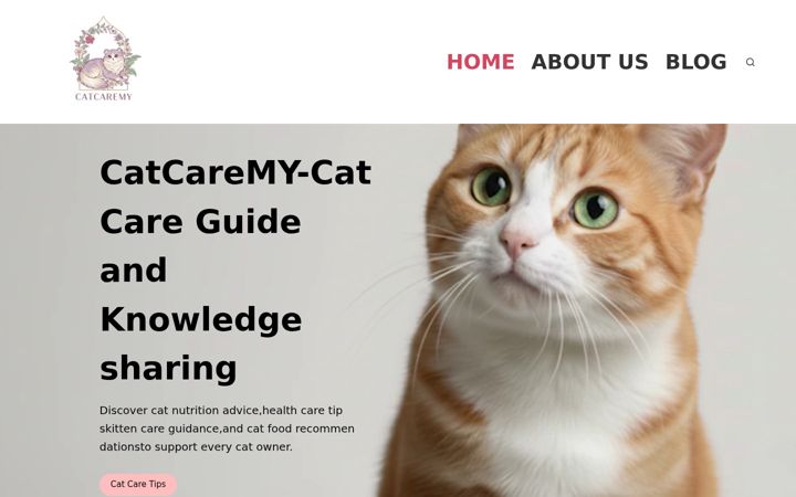 Screenshot of catcaremy.com