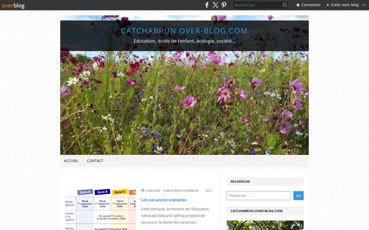 Screenshot of catchabrun.com