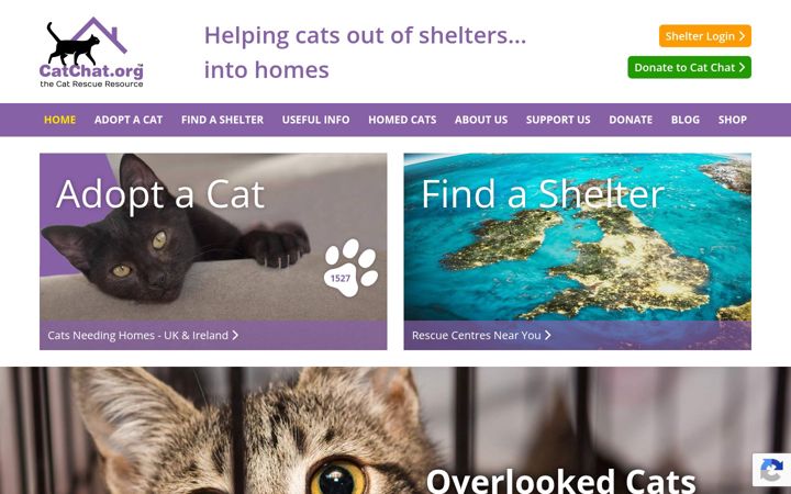 Screenshot of catchat.org
