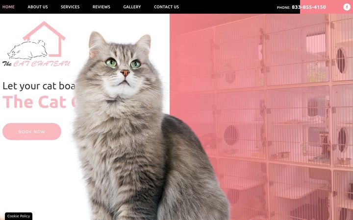 Screenshot of catchateauny.com
