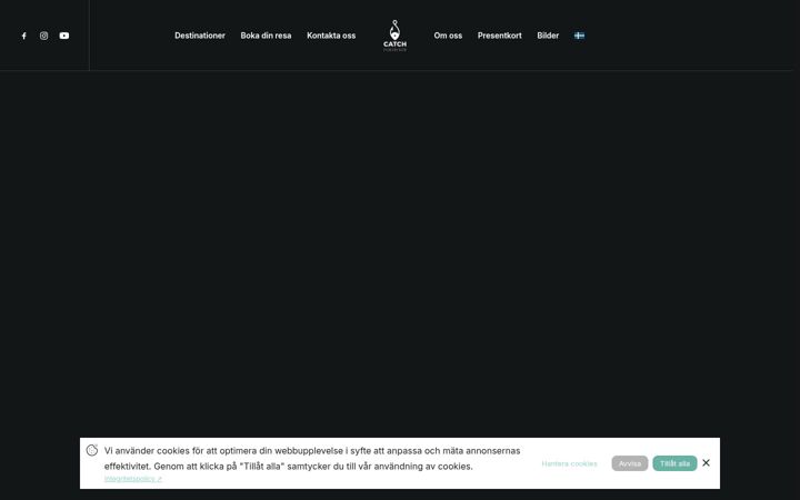 Screenshot of catchfiskeresor.com