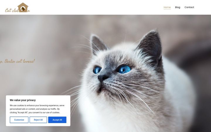 Screenshot of catclubberlin.com