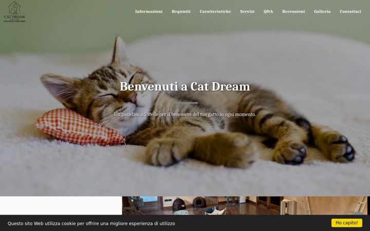 Screenshot of catdream.org