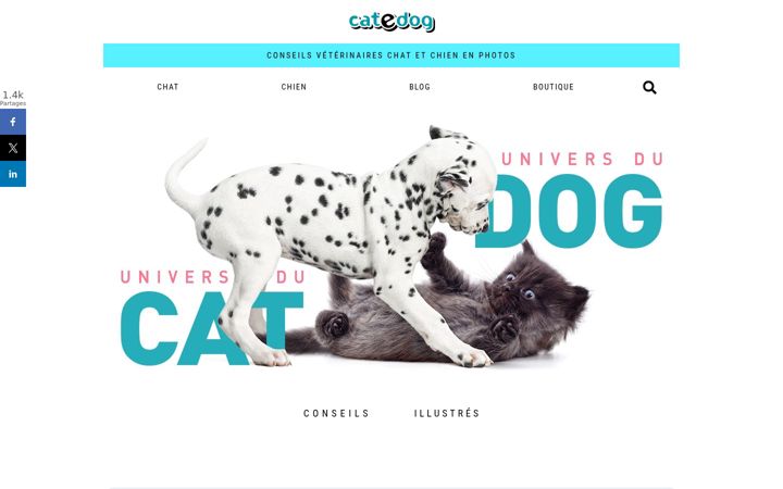 Screenshot of catedog.com