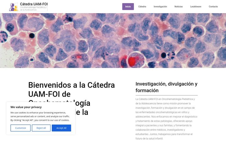 Screenshot of catedrauam-foi.es