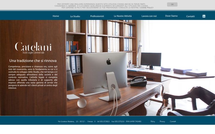 Screenshot of catelani.net