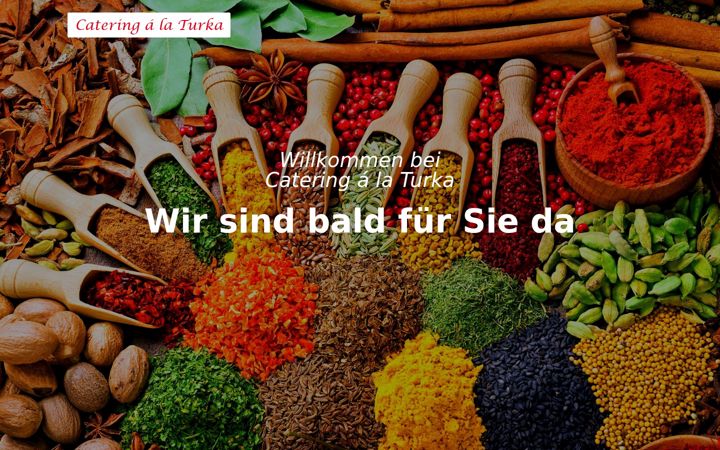 Screenshot of catering-alaturka.de