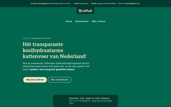 Ekrano kopija catfuel.nl