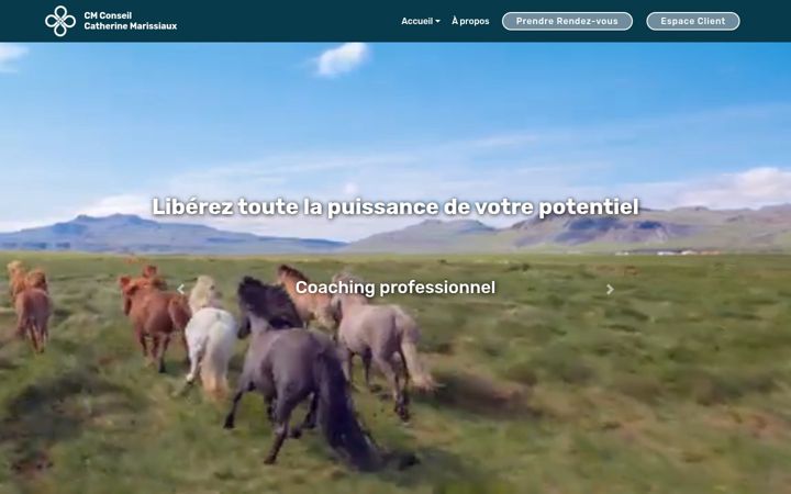 Screenshot of catherine-marissiaux.com