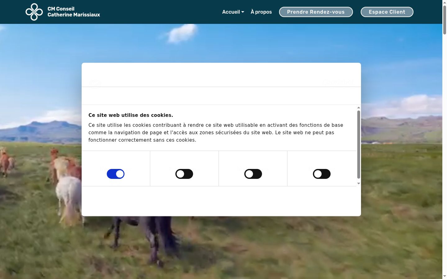 Screenshot of the consent banner shown before any interaction