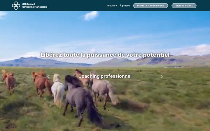 Screenshot of catherine-marissiaux.fr