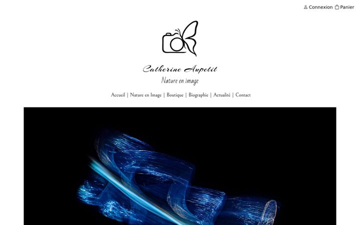 Screenshot of catherineaupetit.com
