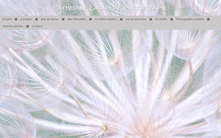 Screenshot of catherinelariviere.com