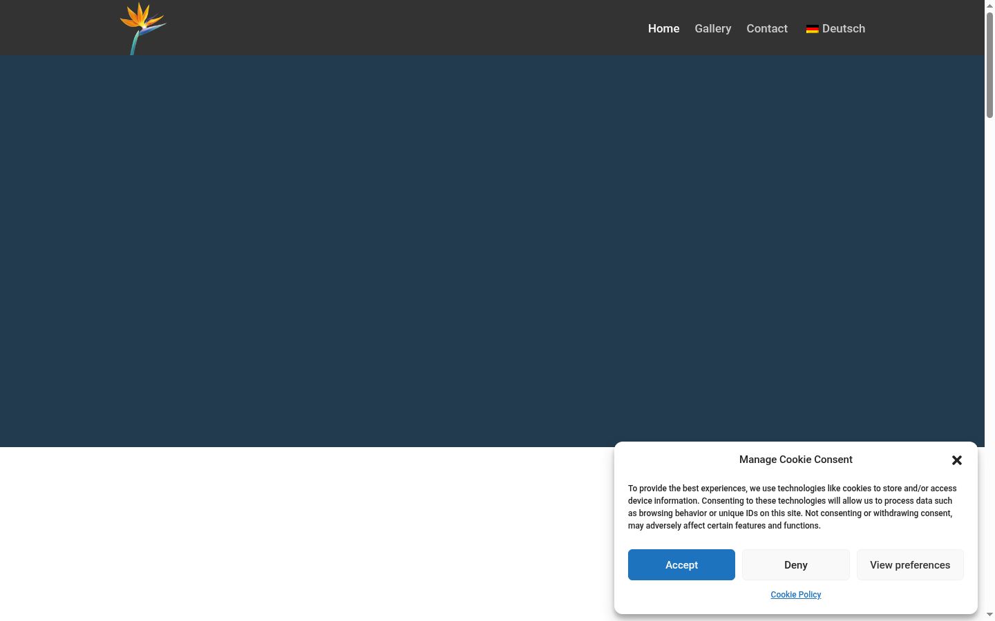 Snímek obrazovky baneru souhlasu zobrazeného před jakoukoli interakcí