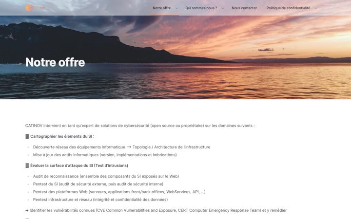Screenshot of catinov.com
