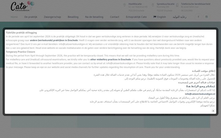 Screenshot of catoverloskundigen.nl