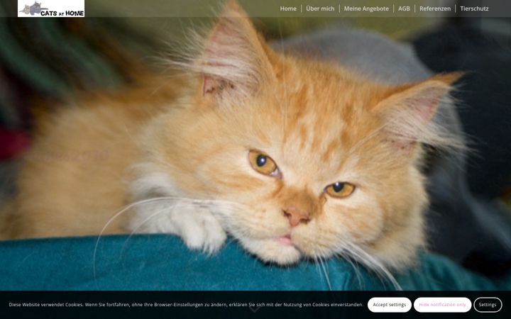 Screenshot of catsathome.de
