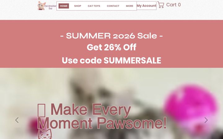 Screenshot of catscratcherguy.com