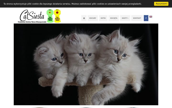 Zrzut ekranu catsiesta.pl