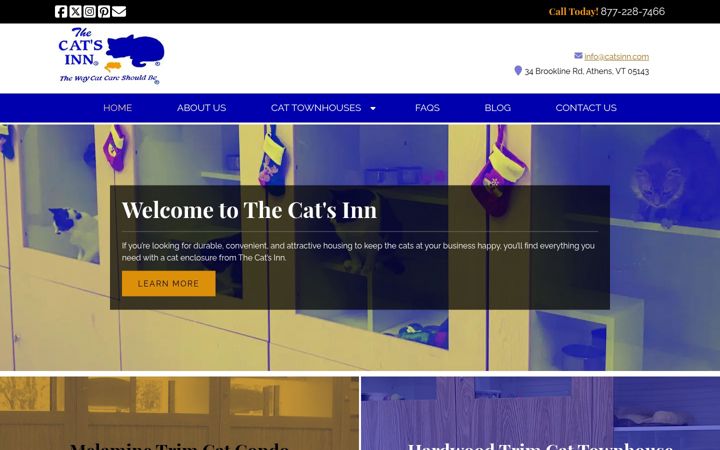 Screenshot of catsinn.com