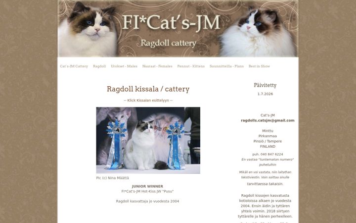 Screenshot of catsjm.com