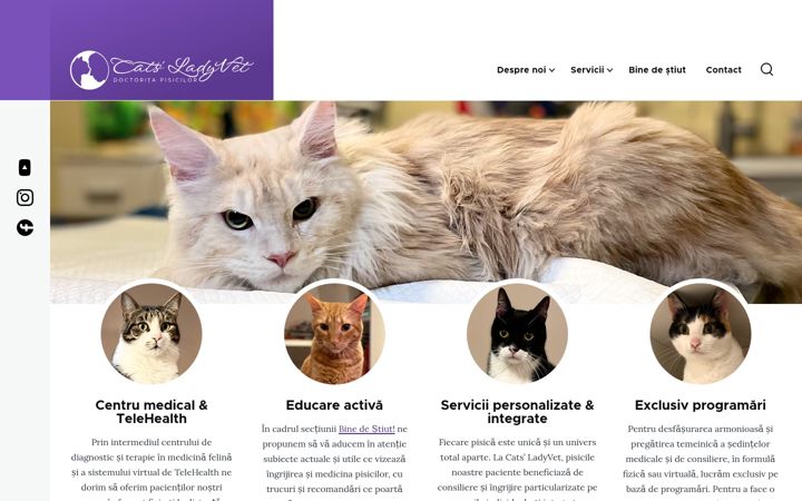 Screenshot of catsladyvet.ro