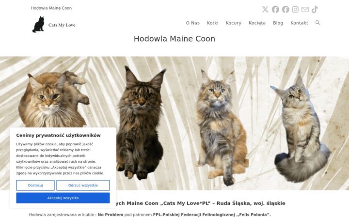 Screenshot of catsmylove.pl