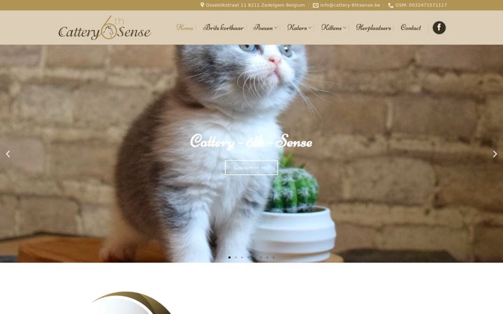Screenshot of cattery-6thsense.be