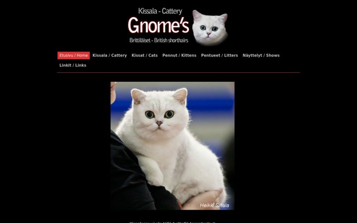 Screenshot of catterygnomes.net