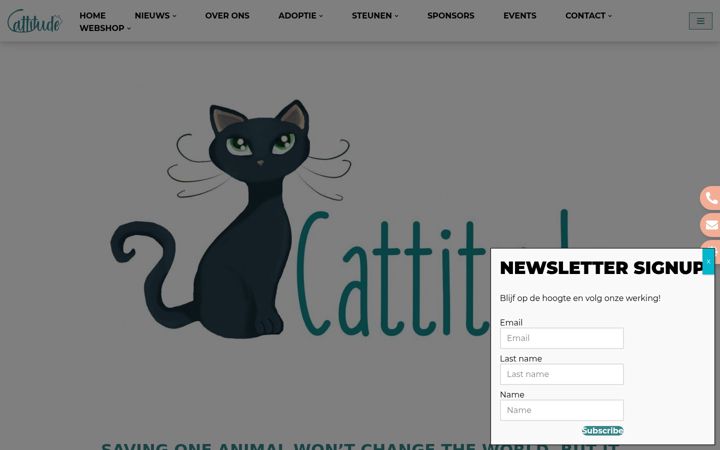 Screenshot of cattitude.be