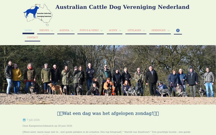 Screenshot of cattledognederland.nl