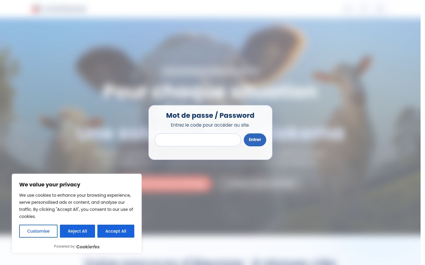 Screenshot of the consent banner shown before any interaction
