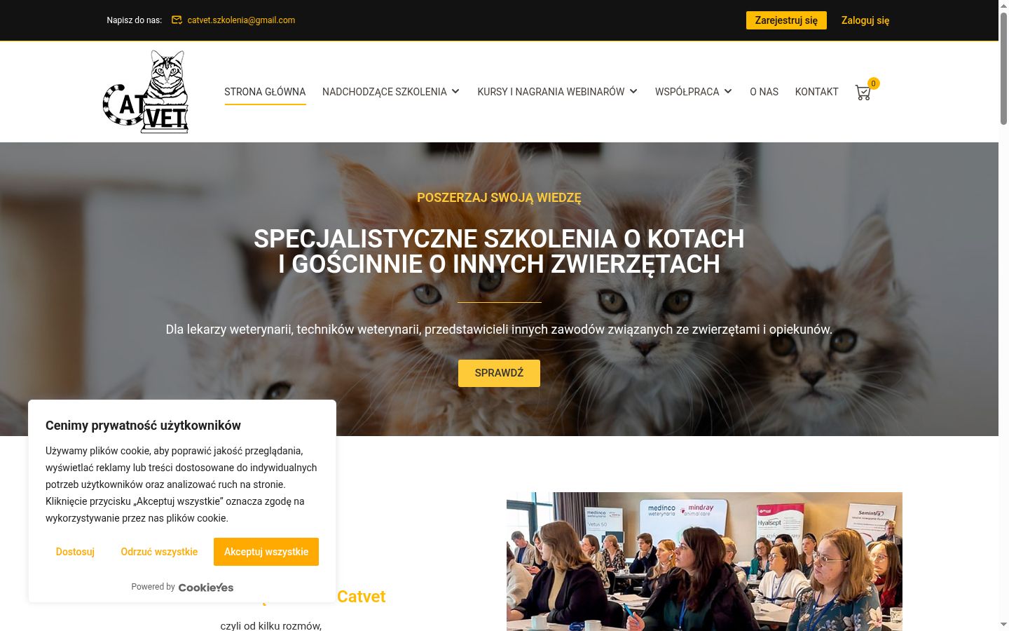 Screenshot des Einwilligungsbanners vor jeglicher Interaktion