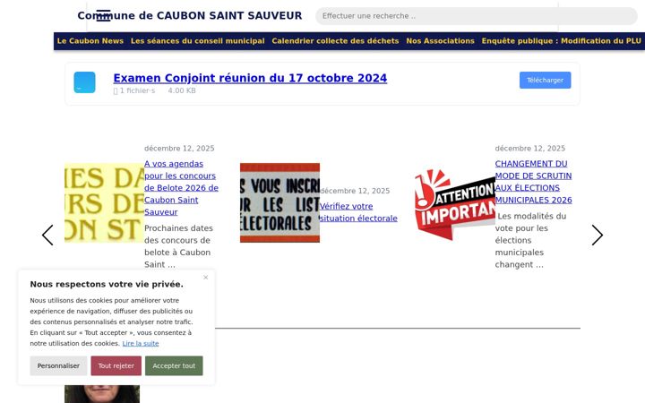 Screenshot van caubonstsauveur.fr