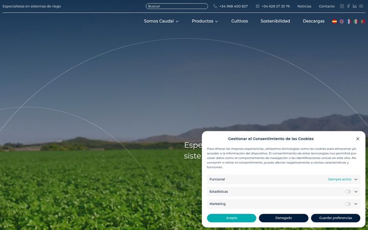 Screenshot of caudal.es