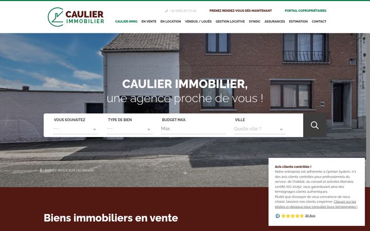 Screenshot of caulier-immo.be