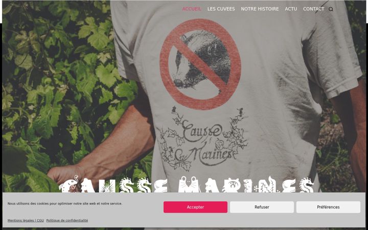 Screenshot of causse-marines.com