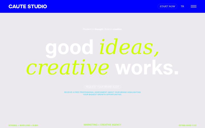 Screenshot of cautestudio.com