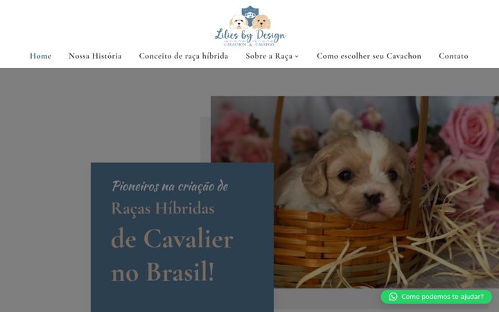 Екранна снимка на cavachon.com.br
