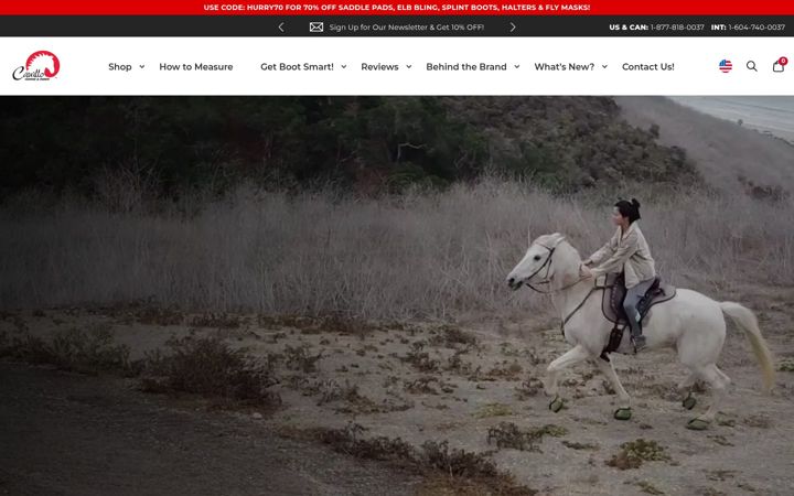 Screenshot of cavallo-inc.com