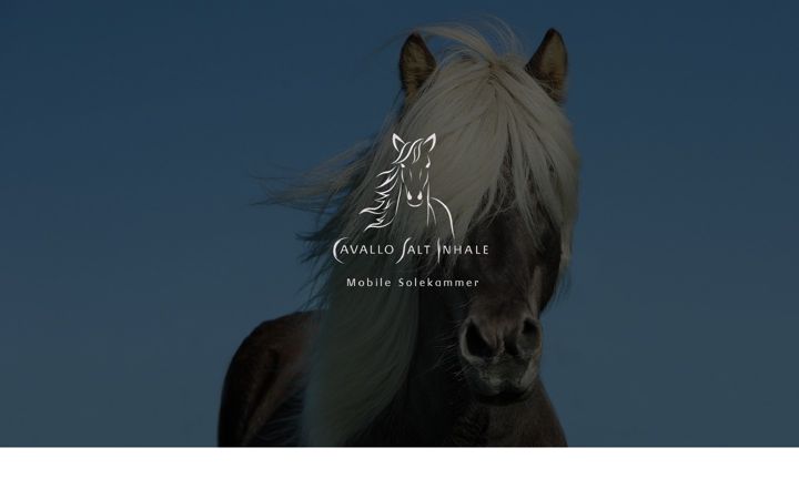 Screenshot of cavallo-salt-inhale.de
